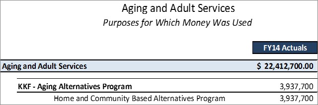 DAAS Aging Alternatives Program